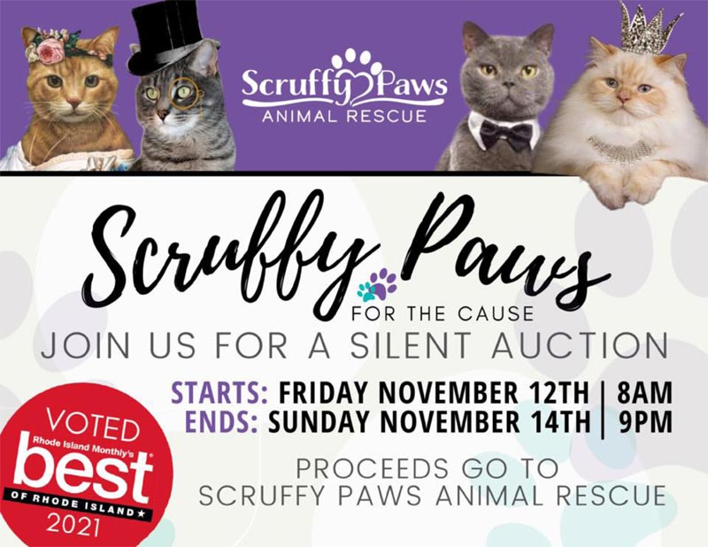 Scruffy Paws for the Cause Auction