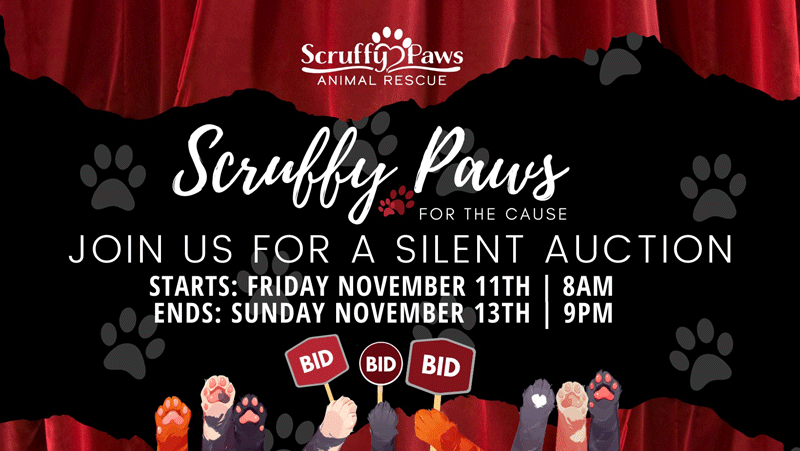 Scruffy Paws for the Cause Online Auction, Nox. 11-Nov. 13, 2022.

